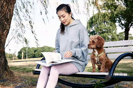 杭州電子科技大學MPAcc報考條件及流程