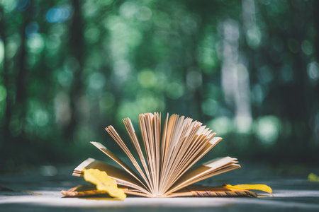 北京理工大學MEM報考條件及流程 北京理工大學MEM報考條件及流程