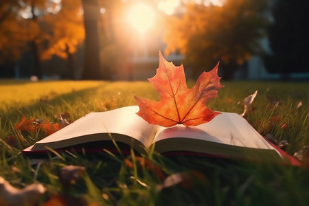 河北農(nóng)業(yè)大學(xué)非全日制研究生考試科目