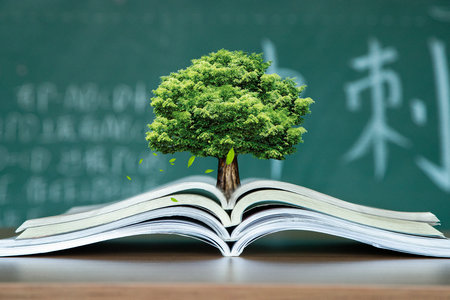 暨南大學金融專碩考試科目