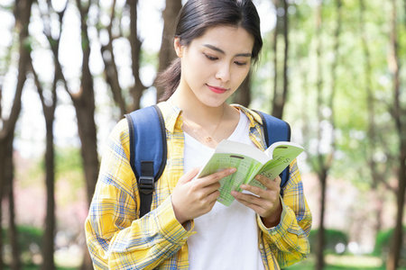 法國諾歐商學院國際博士報名入口