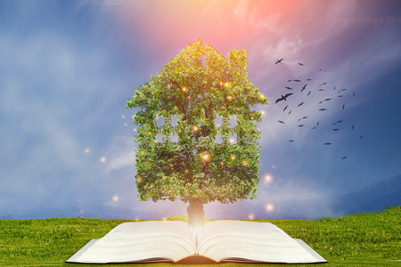 美國(guó)加州浸會(huì)大學(xué)國(guó)際博士報(bào)名入口