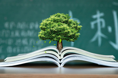 山東大學EMBA考試科目