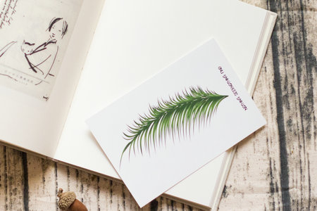 華東政法大學MPA復試流程