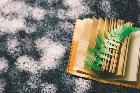 西華師范大學(xué)非全日制研究生滿足什么條件才能復(fù)試