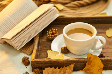 遼寧科技大學MBA復試流程 遼寧科技大學MBA復試流程