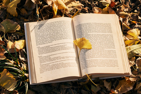 太原理工大學(xué)MEM復(fù)試