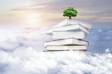 福建師范大學(xué)非全日制研究生考試成績查詢流程