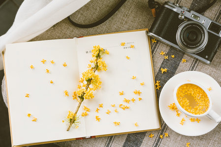 內蒙古科技大學非全日制研究生成績查詢