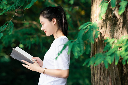 石家莊鐵道大學MEM成績啥時候出來，怎么查詢？