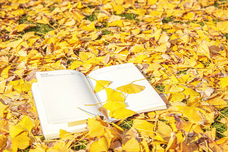 北京第二外國(guó)語(yǔ)學(xué)院MBA怎么能提升成績(jī)？