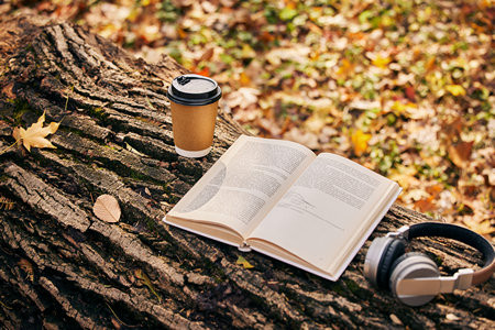 如果上海大學(xué)MPAcc成績沒過國家線怎么辦？