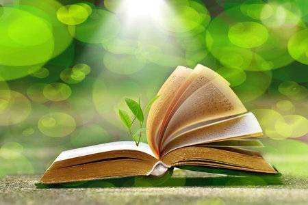 長江大學MEM成績什么時候出 長江大學MEM成績什么時候出