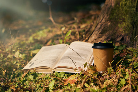 上海交通大學EMBA分數線