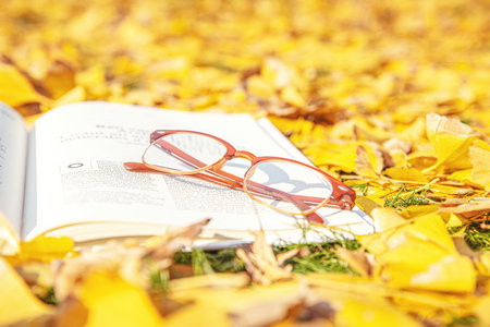 上海理工大學MEM分數線什么時候出？