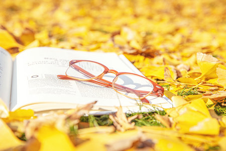 上海理工大學MEM分數線公布時間