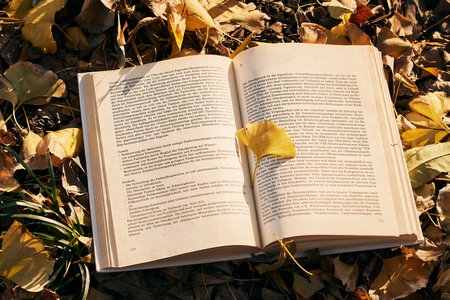 首都師范大學MPA分數線 首都師范大學MPA分數線