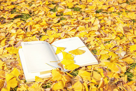 沈陽農(nóng)業(yè)大學(xué)MPAcc分?jǐn)?shù)線每年一樣嗎？