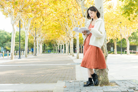 河南師范大學MPA分數線