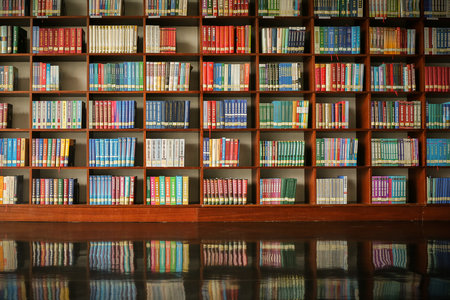 中南林業科技大學MBA每年什么時候調劑