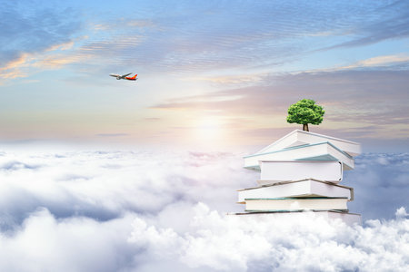 中國石油大學(北京)MEM調劑