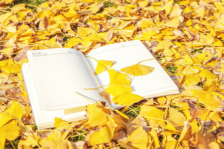 齊魯工業(yè)大學(xué)非全日制研究生調(diào)劑時(shí)間一般什么時(shí)候