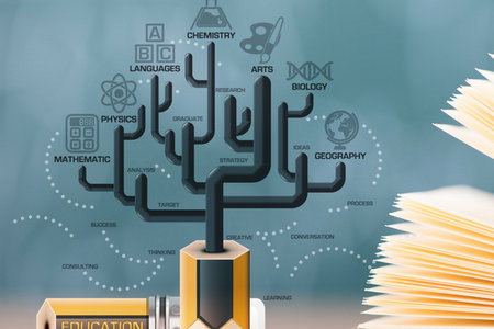 山東大學在職研究生熱門招生專業
