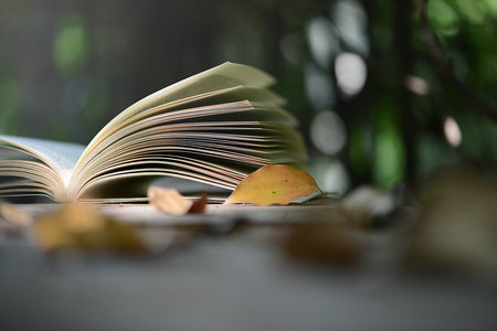 深圳大學MPAcc招生