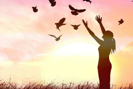 江西在職研究生熱門招生專業