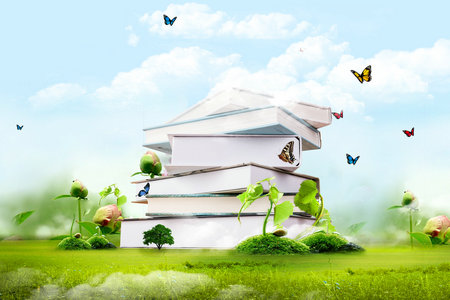 法國布雷斯特商學院國際博士