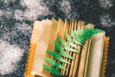   江西師大專業(yè)碩士熱門招生專業(yè)