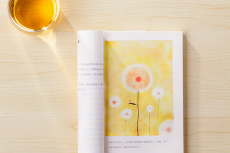 西南交通大學專業碩士招生信息 西南交通大學專業碩士招生信息