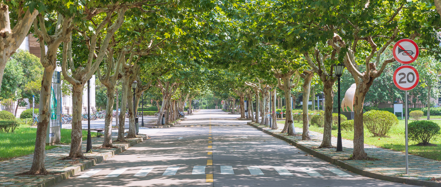荷蘭商學院在職研究生