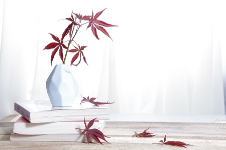 上海對外經貿大學MF招生情況 上海對外經貿大學MF招生情況