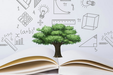 西南財(cái)經(jīng)大學(xué)專業(yè)碩士招生時(shí)間