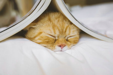 天津大學EMBA招生五大環節