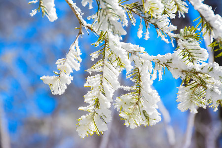 中國古代史在職研究生招生信息
