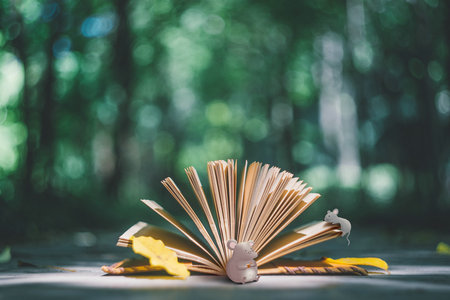 民商法學在職博士招生詳情 民商法學在職博士招生詳情