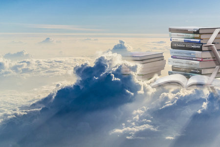 法國南錫高等商學院在職研究生招生方式