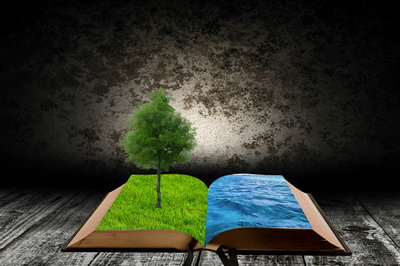 廈門大學專業碩士