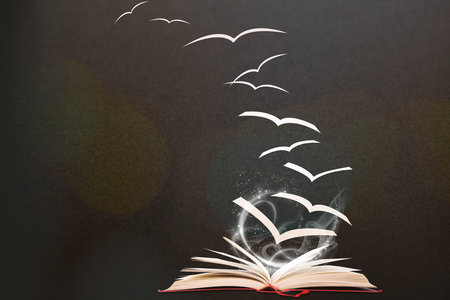 北京大學專業碩士招生學院介紹 北京大學專業碩士招生學院介紹