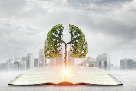 軟件工程在職研究生 軟件工程在職研究生