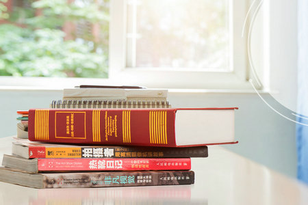 法國里昂商學(xué)院中外合作辦學(xué)招生專業(yè)