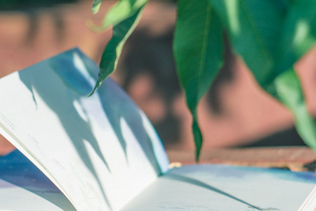 西南交通大學(xué)在職研究生四川地區(qū)招生情況