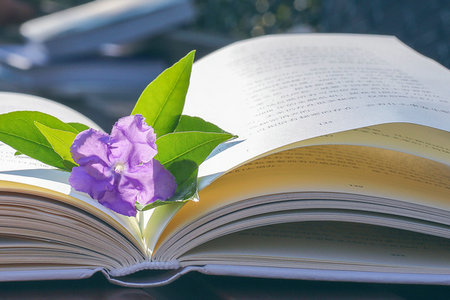 華東交通大學在職研究生浙江地區招生情況 華東交通大學在職研究生浙江地區招生情況