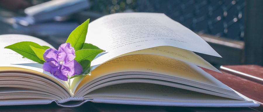 山東大學專業碩士招生專業匯總