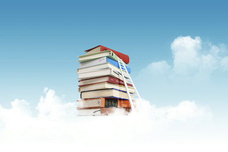 荷蘭商學院國際碩士