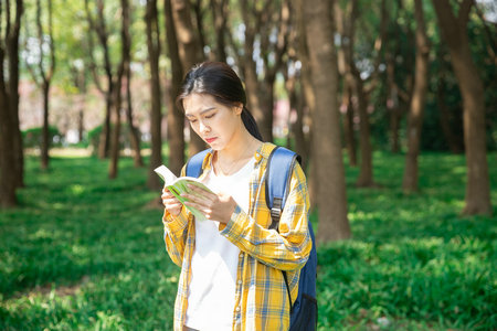 法律史同等學(xué)力