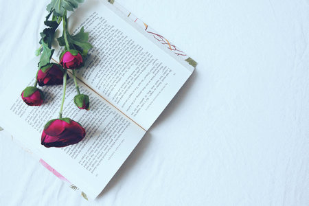 中國科學院大學MPA