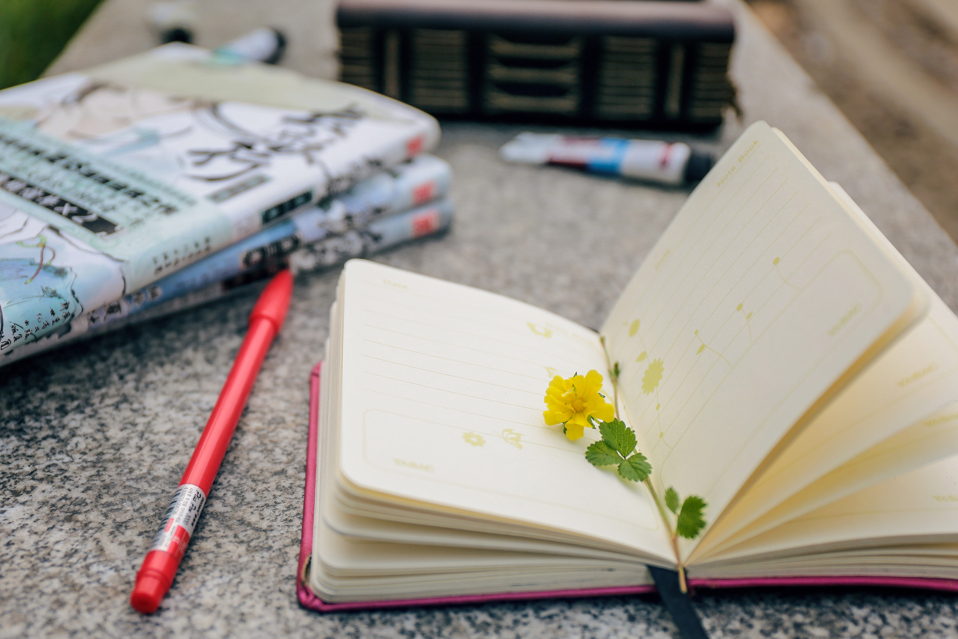 憲法學(xué)與行政法學(xué)在職研究生